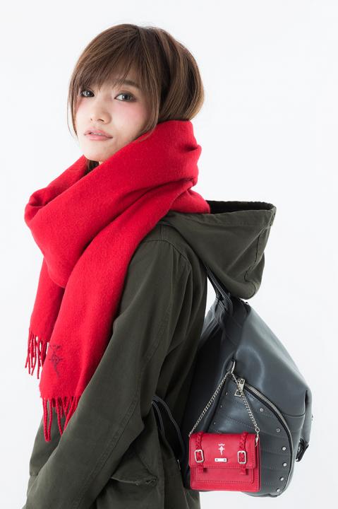 エドワード・エルリックモデルパスケース パスケース 鋼の錬金術師