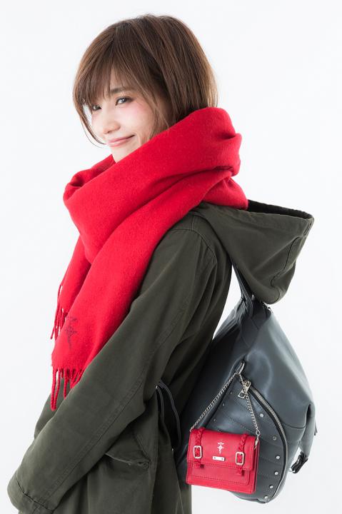 エドワード・エルリックモデルパスケース パスケース 鋼の錬金術師