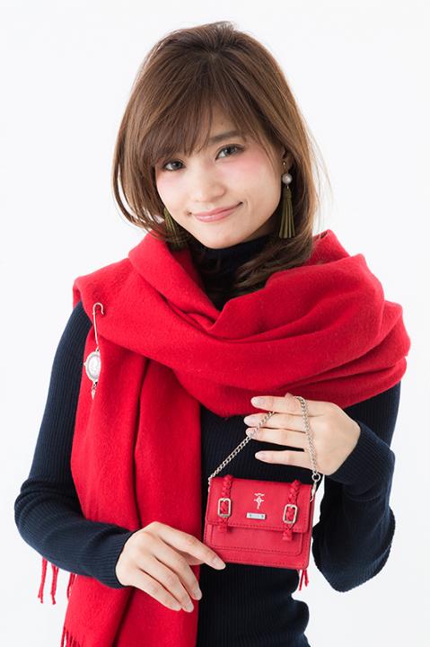 エドワード・エルリックモデルパスケース パスケース 鋼の錬金術師