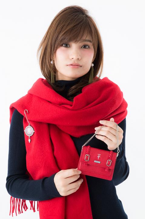 エドワード・エルリックモデルパスケース パスケース 鋼の錬金術師