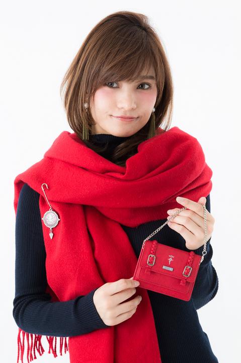 エドワード・エルリックモデルパスケース パスケース 鋼の錬金術師