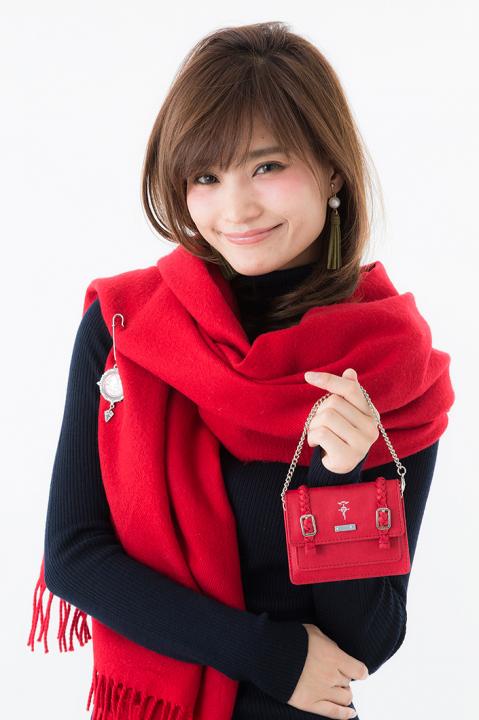 エドワード・エルリックモデルパスケース パスケース 鋼の錬金術師