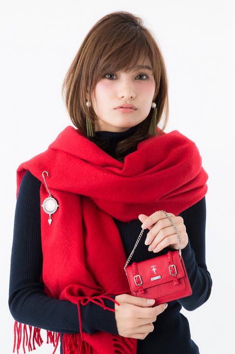 エドワード・エルリックモデルパスケース パスケース 鋼の錬金術師