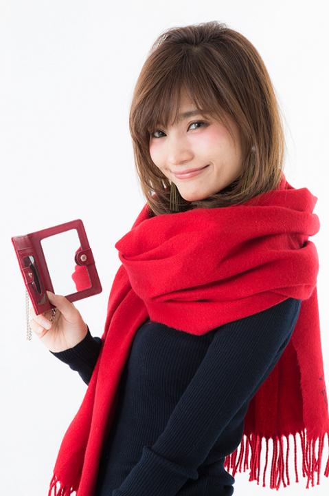 エドワード・エルリックモデルパスケース パスケース 鋼の錬金術師