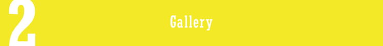 2 Gallery