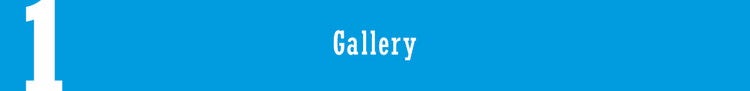 1 Gallery
