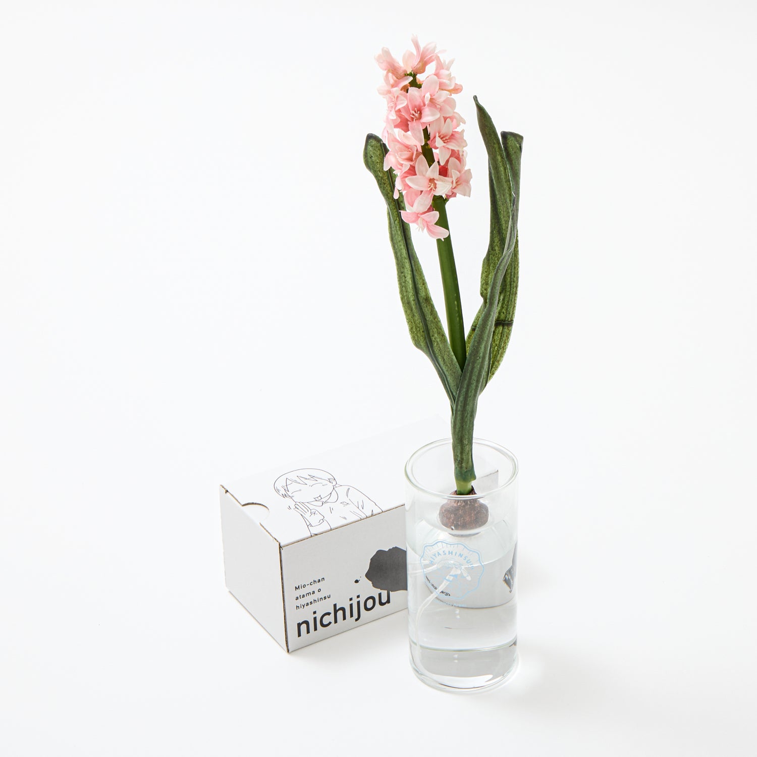 育ててヒヤシンス!!! 「日常」の花瓶